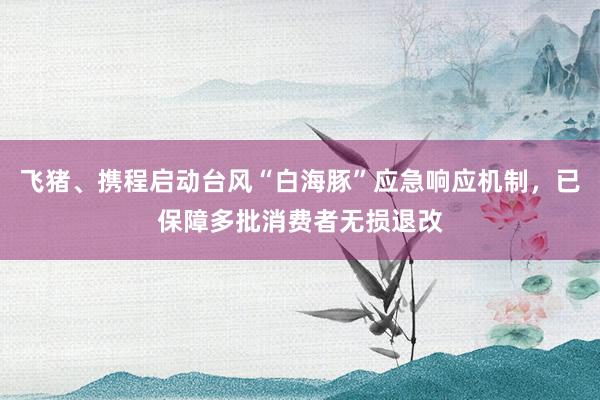 飞猪、携程启动台风“白海豚”应急响应机制，已保障多批消费者无损退改