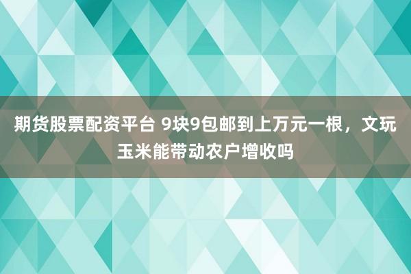 期货股票配资平台 9块9包邮到上万元一根，文玩玉米能带动农户增收吗